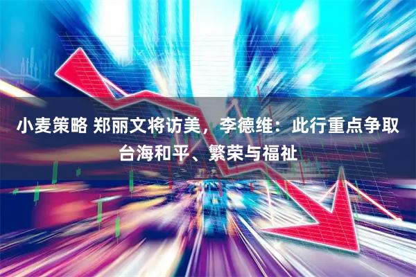 小麦策略 郑丽文将访美，李德维：此行重点争取台海和平、繁荣与福祉